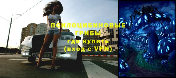 МДПВ Сосновоборск