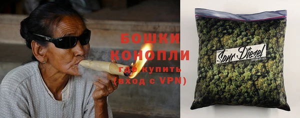 прущие грибы Алексин