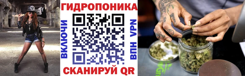 Шишки марихуана OG Kush Ворсма