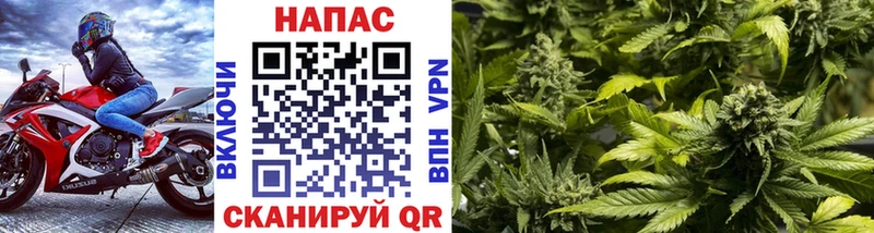 МАРИХУАНА Amnesia  Купить  Ворсма 